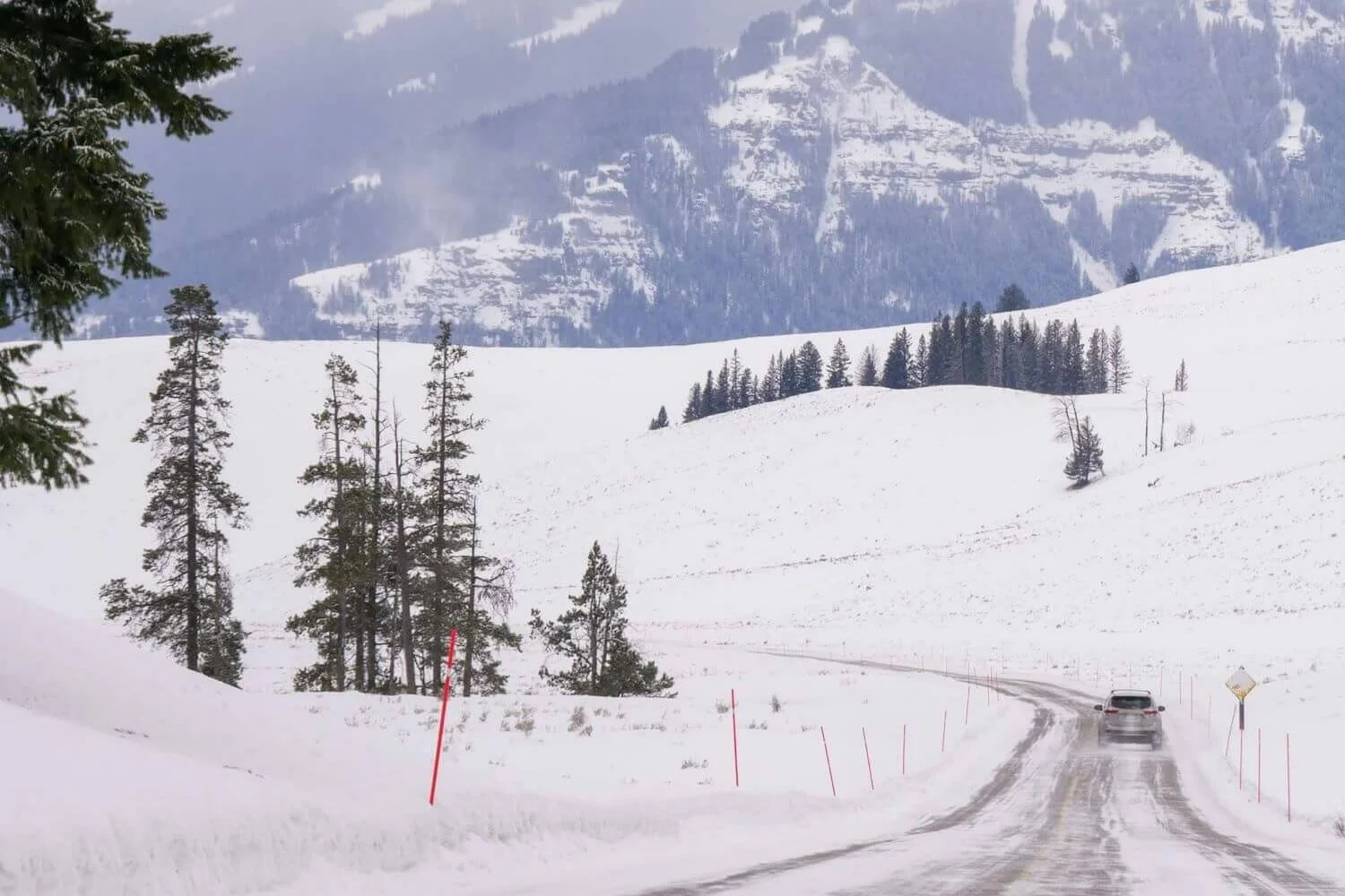Can You Drive Yellowstone in Winter? What’s Open + How To Get Around