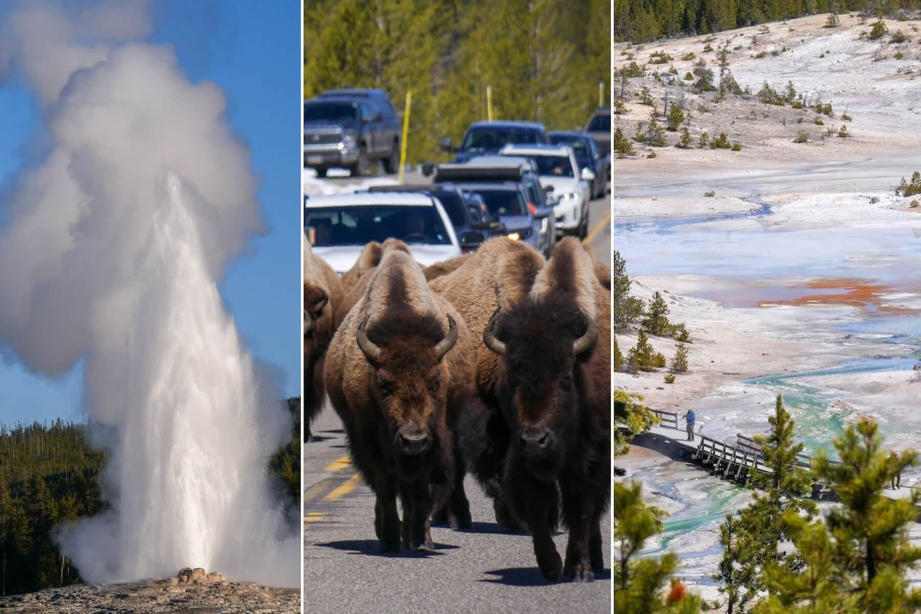 What It’s Like on Opening Day in Yellowstone