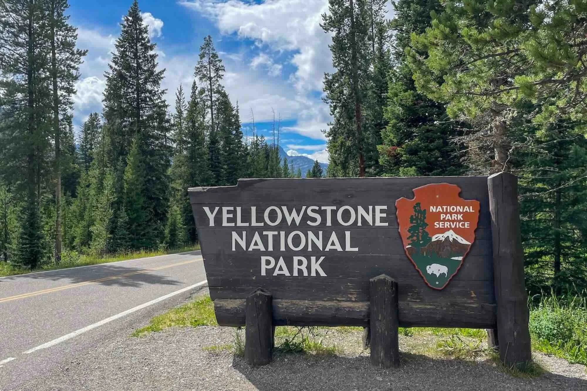 Yellowstone in June: Early vs Late June (Which is Best)