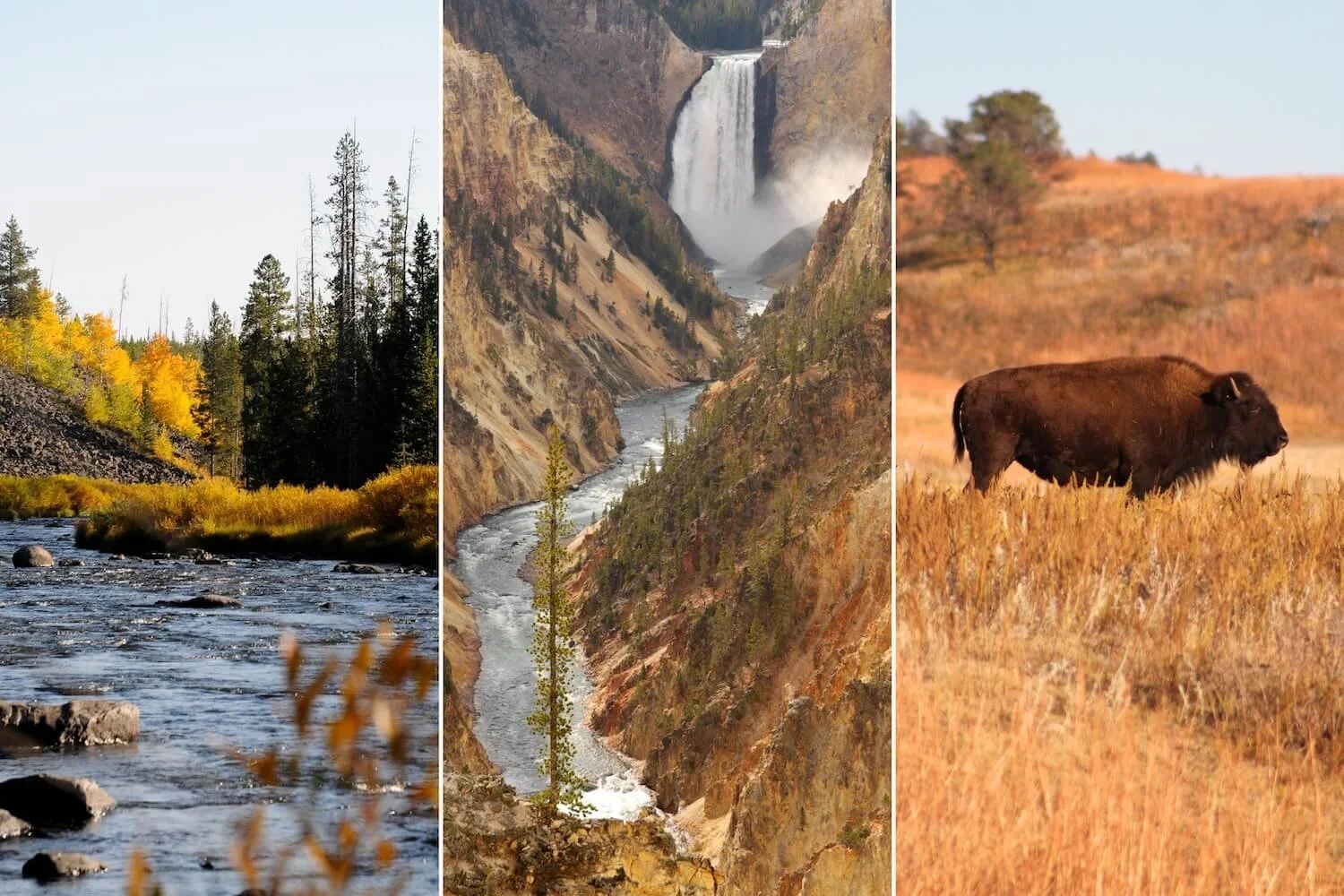 10 Best Fall Hikes in Yellowstone National Park