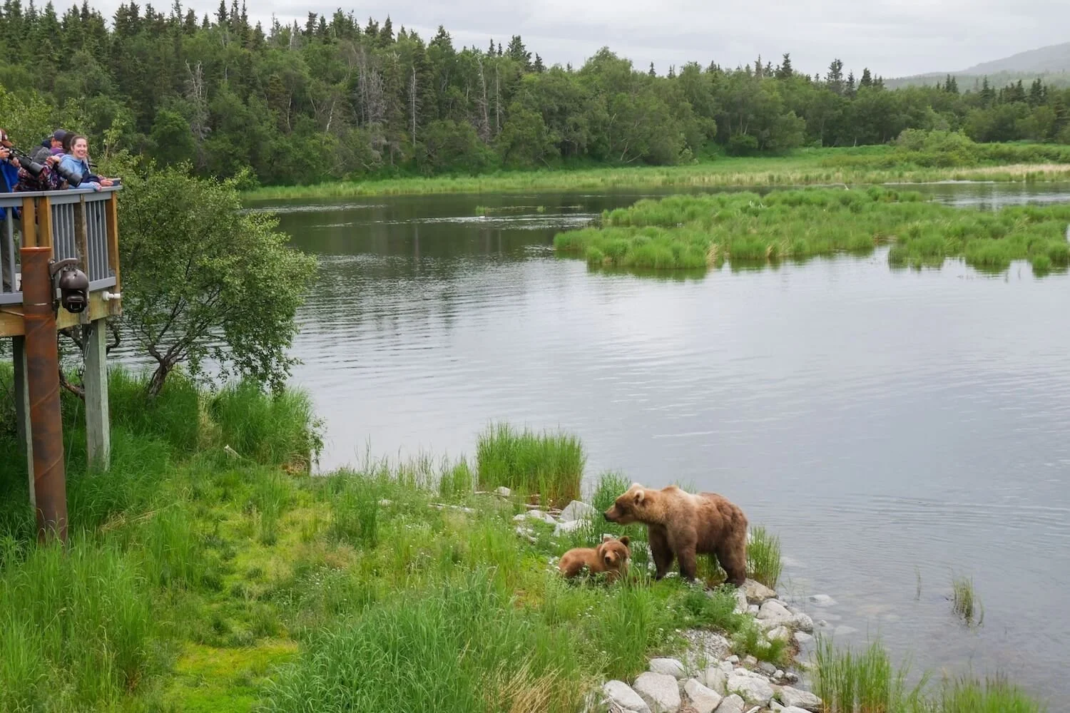 What ‘Alone’ Taught Me About Visiting Alaska