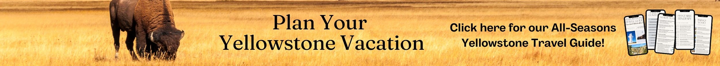Plan your Yellowstone vacation with the All-Seasons Yellowstone Travel Guide by Road Trip Locals.