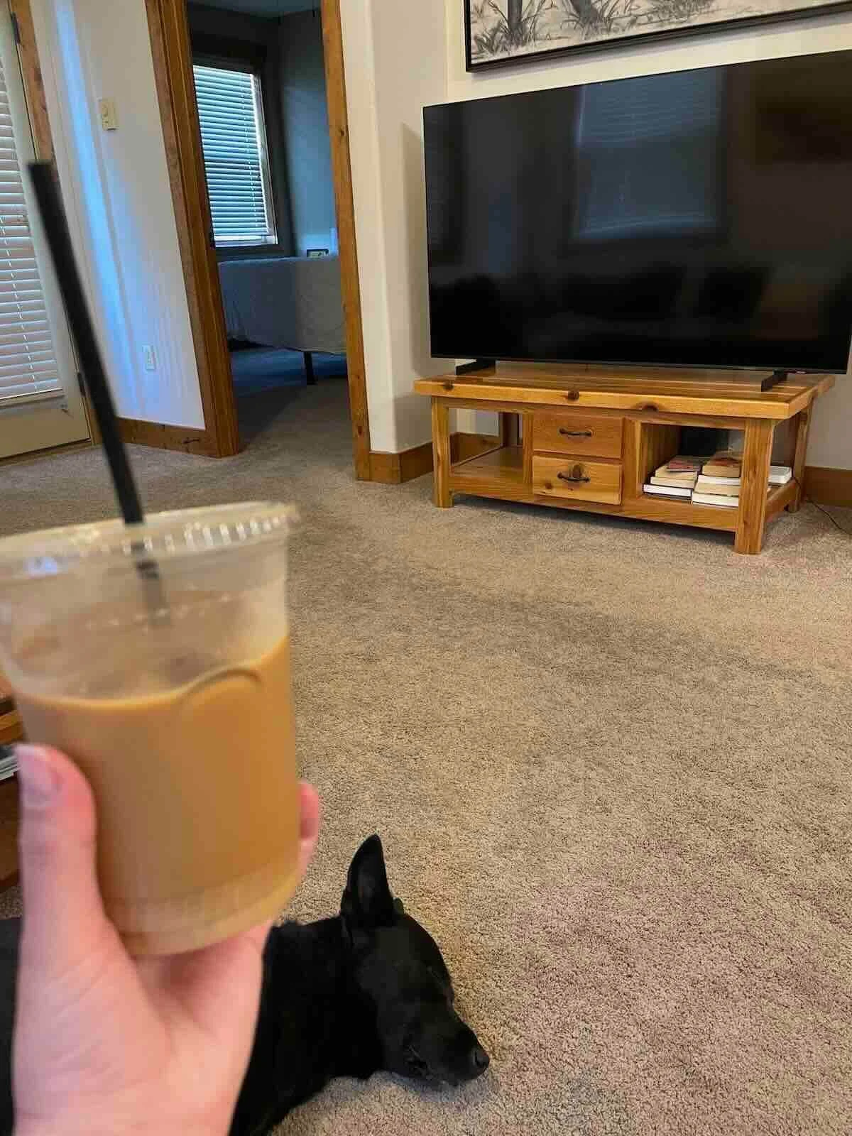 dog sleeping on carpet in large vacation rental