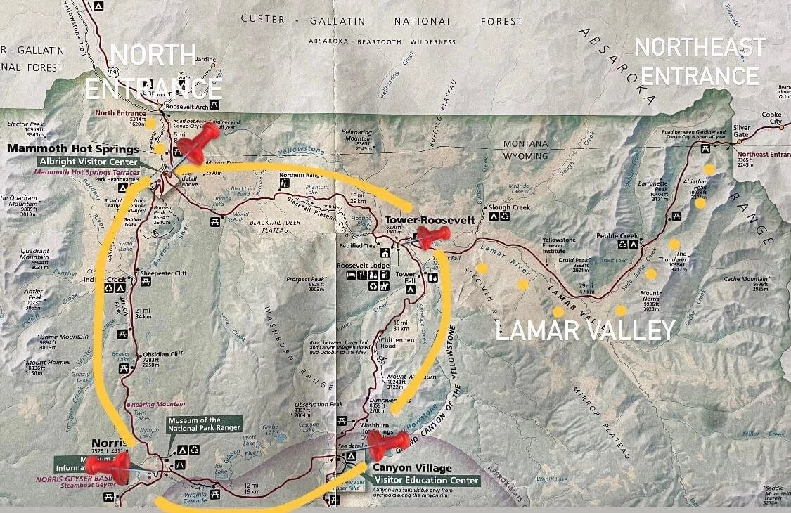 Yellowstone Upper Loop 8 Best Stops for Views, Wildlife, and Hiking