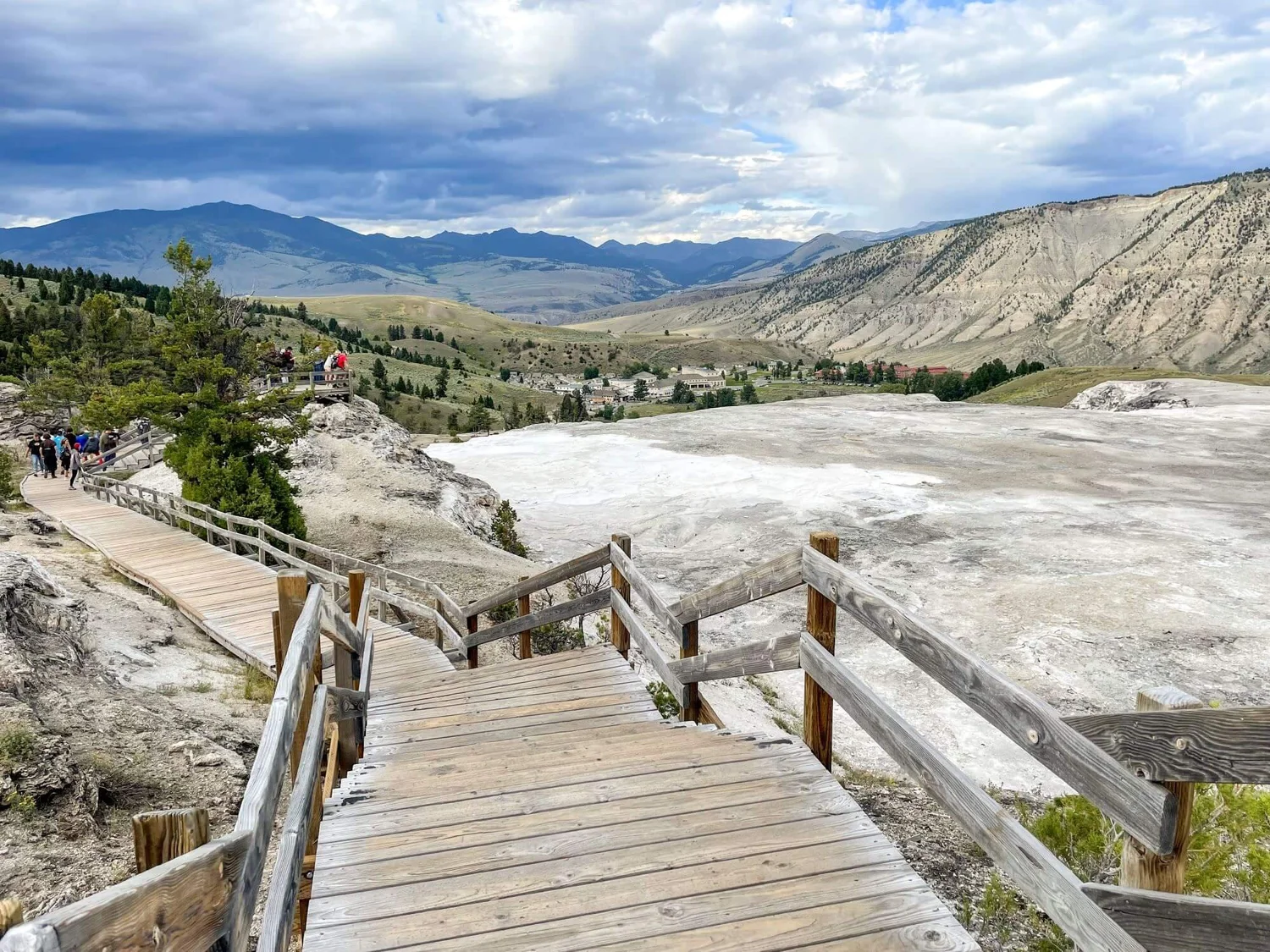 7 Reasons To Visit Yellowstone in the Summer — Road Trip Locals