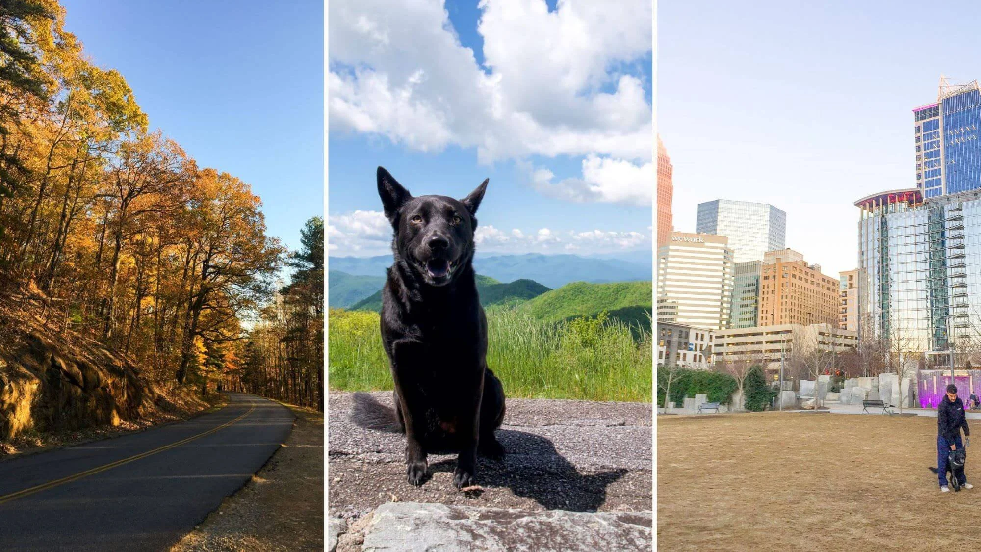 Peaks, Pints, and Fireflies: 7-Day NC Road Trip — Road Trip Locals