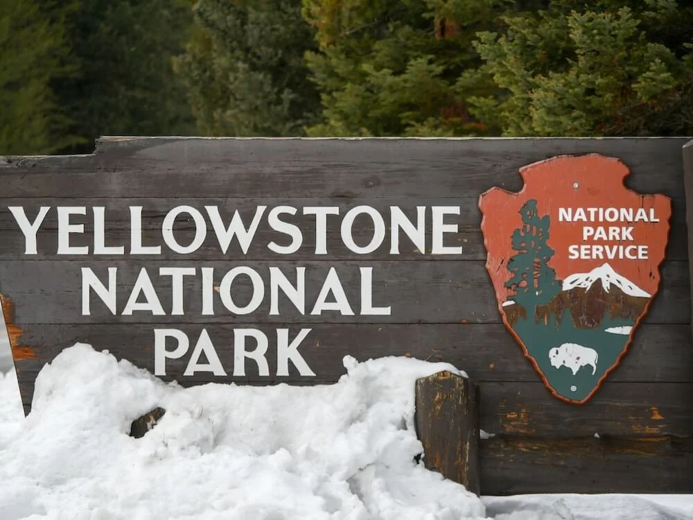 Snow-covered Yellowstone National Park entrance sign in December with evergreen trees in the background