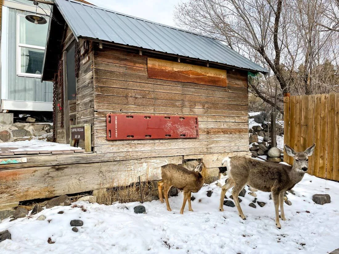 Christmas-Cabin-Gardiner-MT.jpg