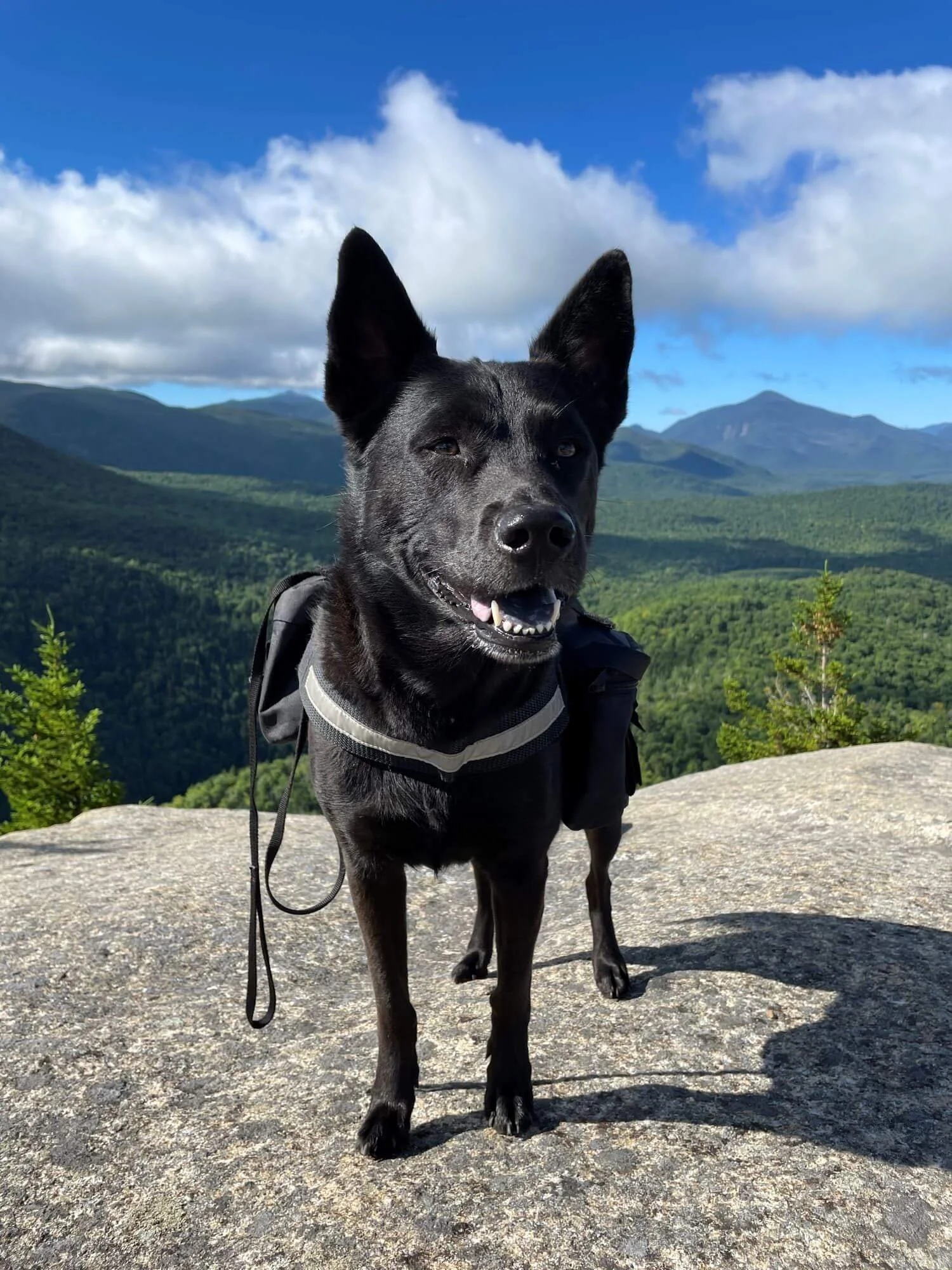 10 Best Hikes Near Lake Placid, NY — Road Trip Locals