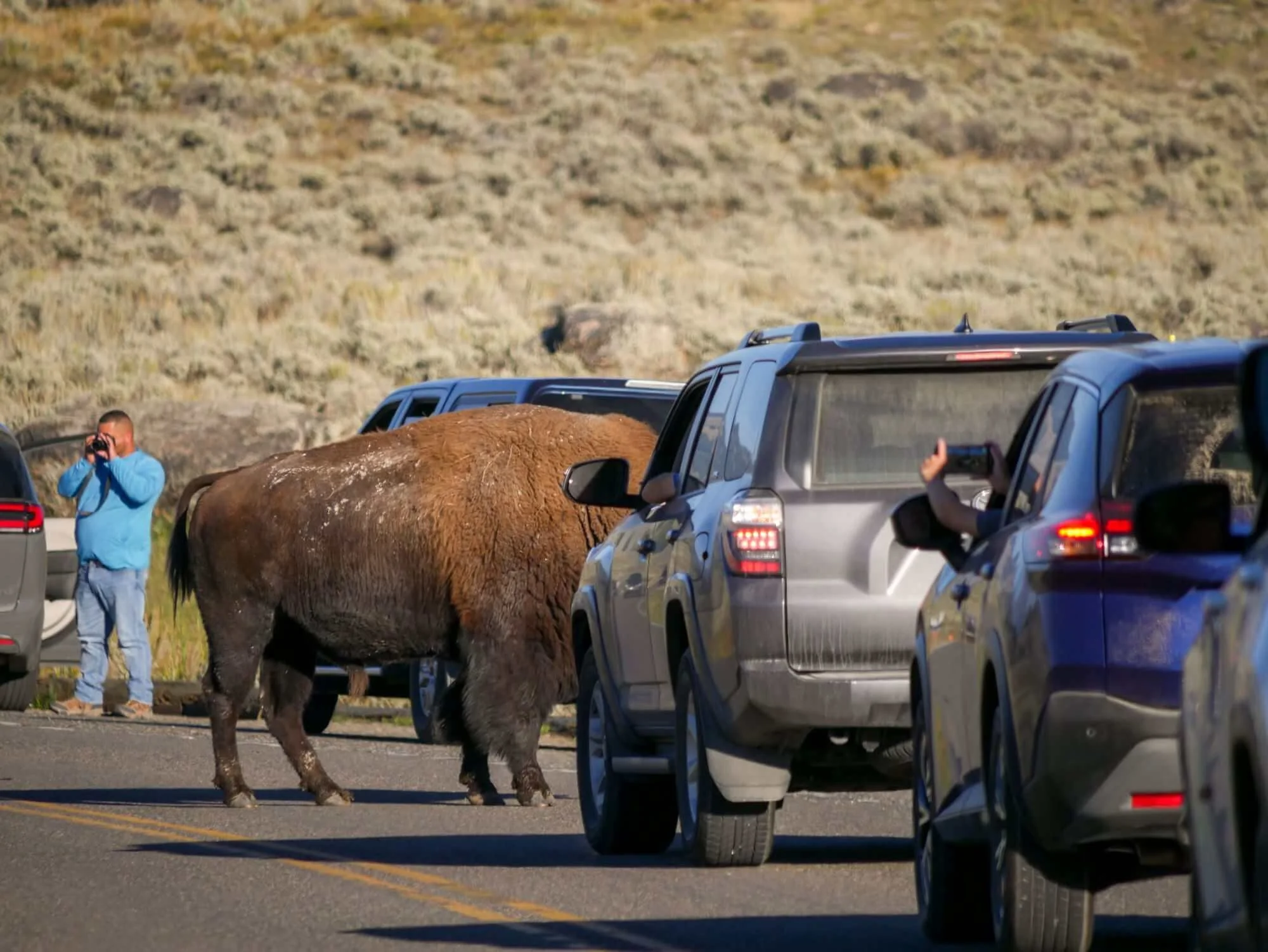 A Yellowstone Bucket List For People Who Can’t Get Enough of the Park ...