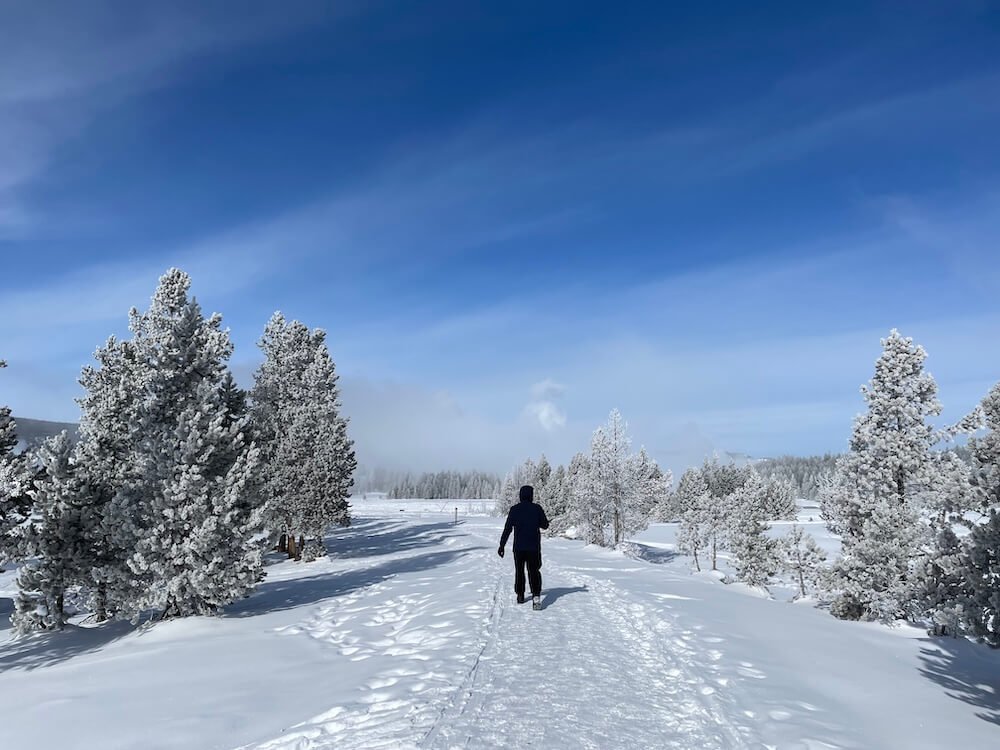 man walking snow-covered trails lined by pine trees