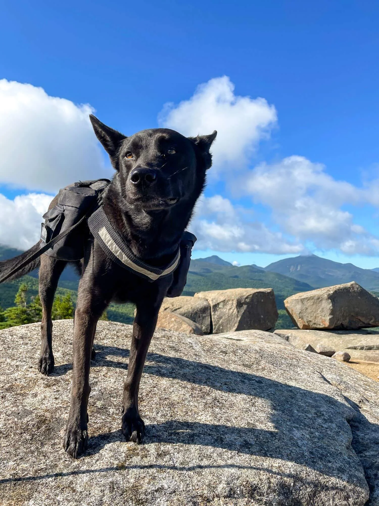 10 Best Hikes Near Lake Placid NY Road Trip Locals