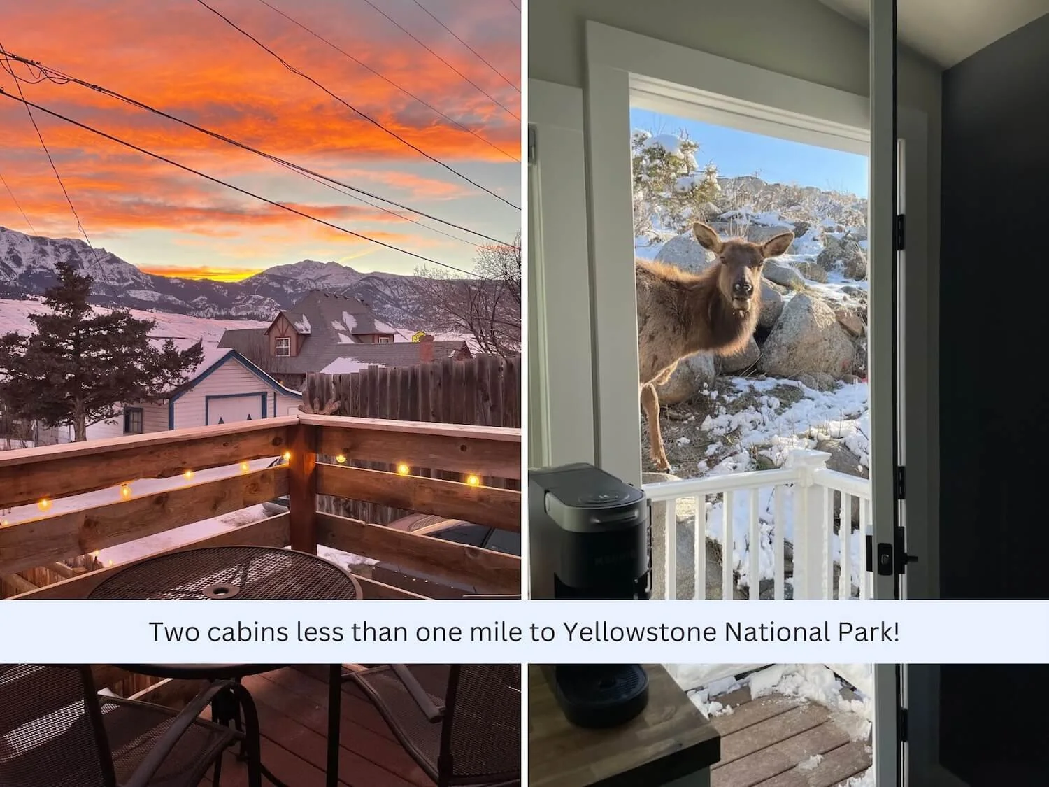 A split view shows a mountain landscape and sunset from a cabin balcony on the left, and an elk outside a cabin door on the right. A caption reads: "Two cabins less than one mile to Yellowstone National Park!"