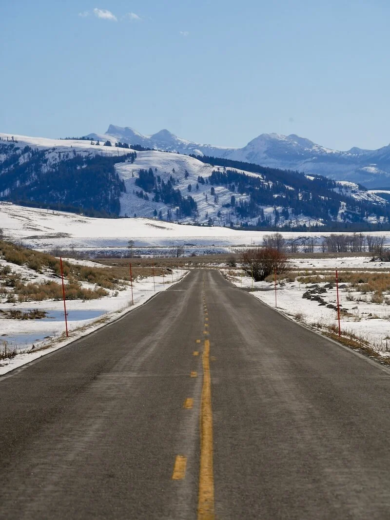 roadway leading to snowy mountains