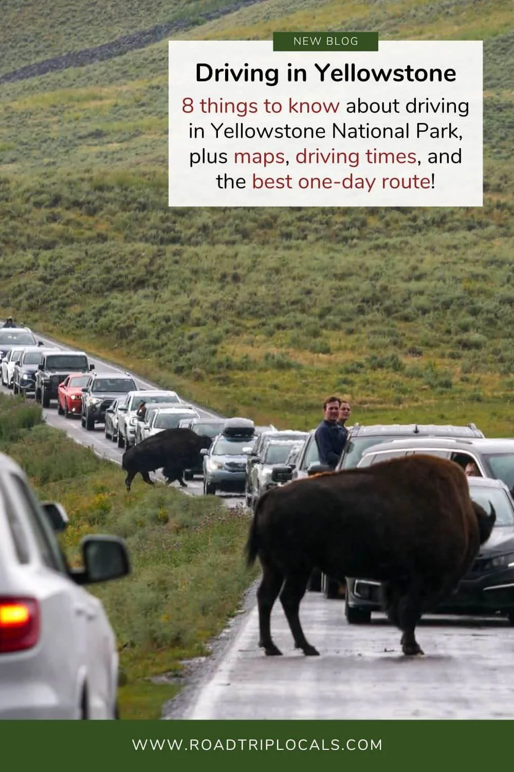 8 Things to Know About Driving in Yellowstone National Park — Road Trip ...