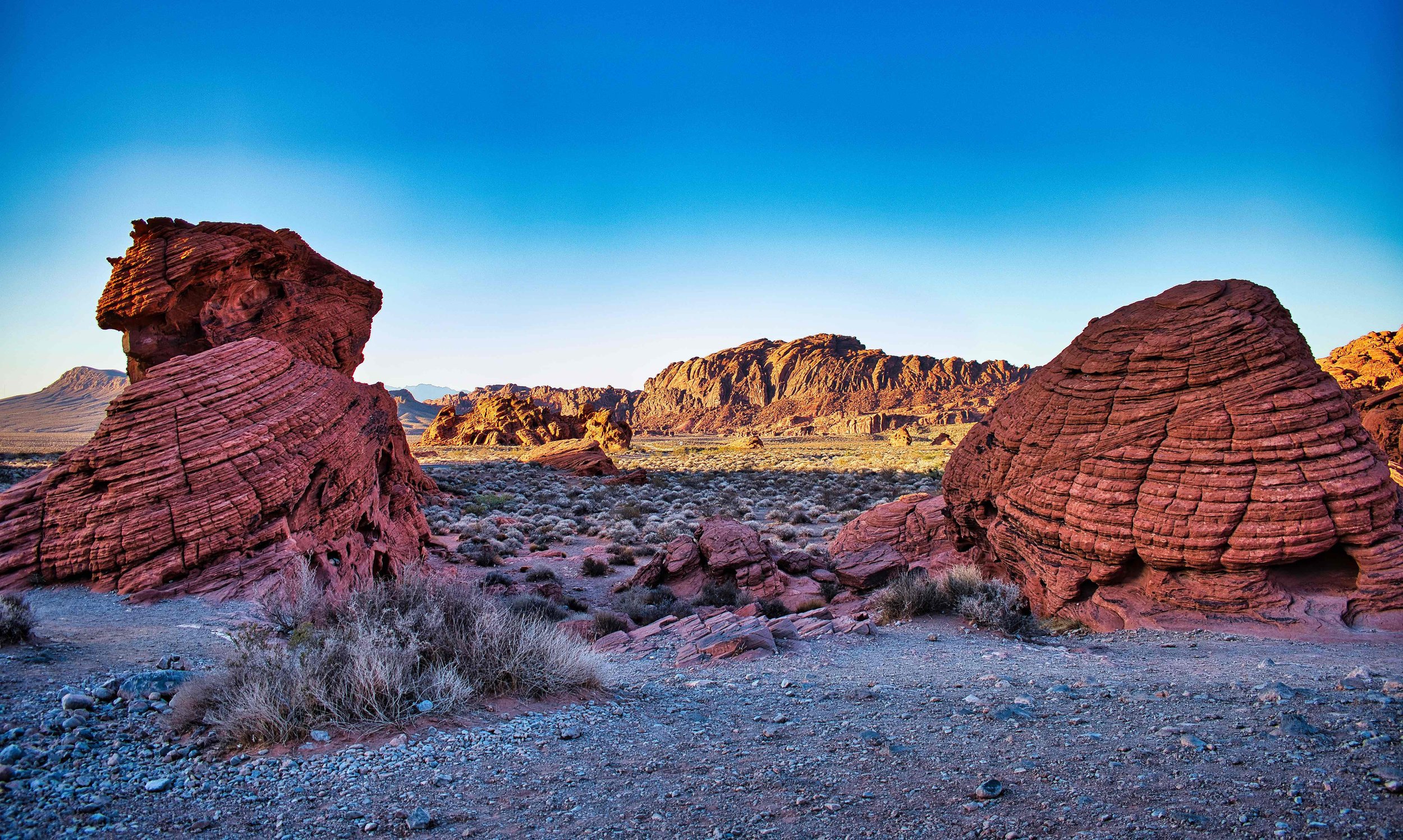 Bee Hives at the Valley of Fire State Park
