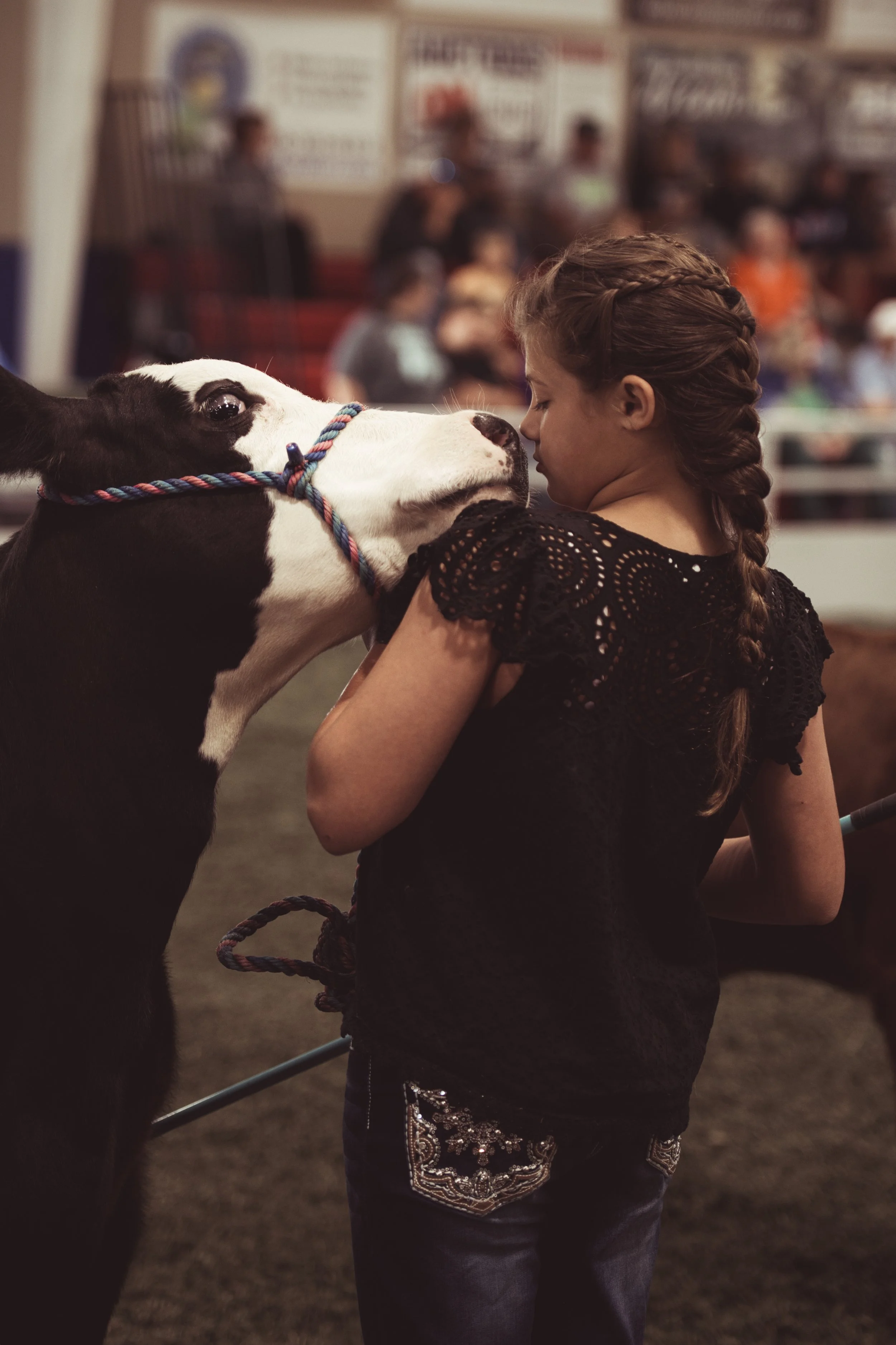 2026 Allen County Fair Ohio