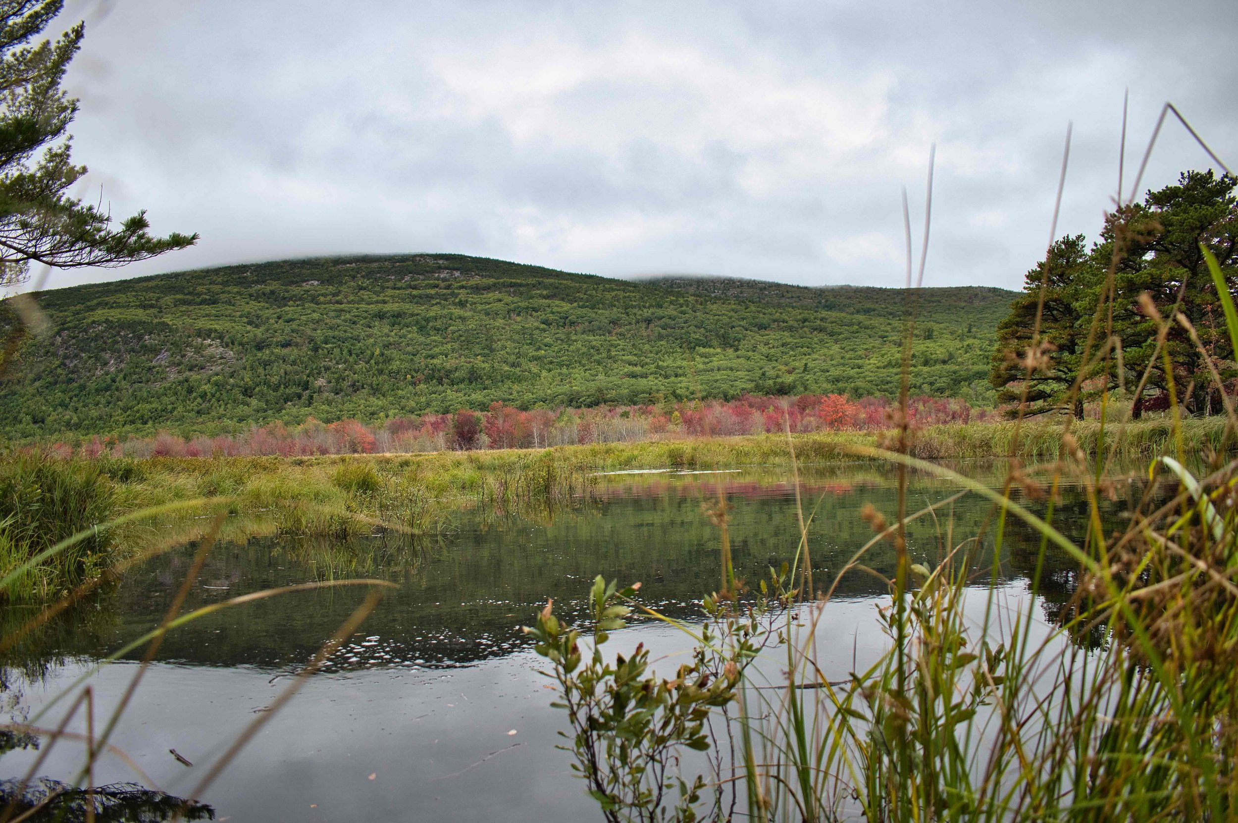 Acadia National Park