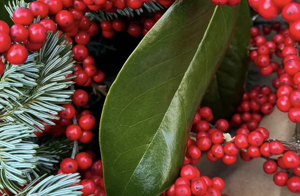 French Broad Greens and Gifts Market