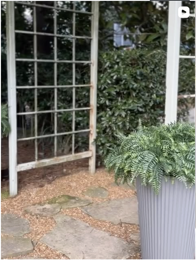 Screenshot 2026-03-14 at 8.09.07 AM.png