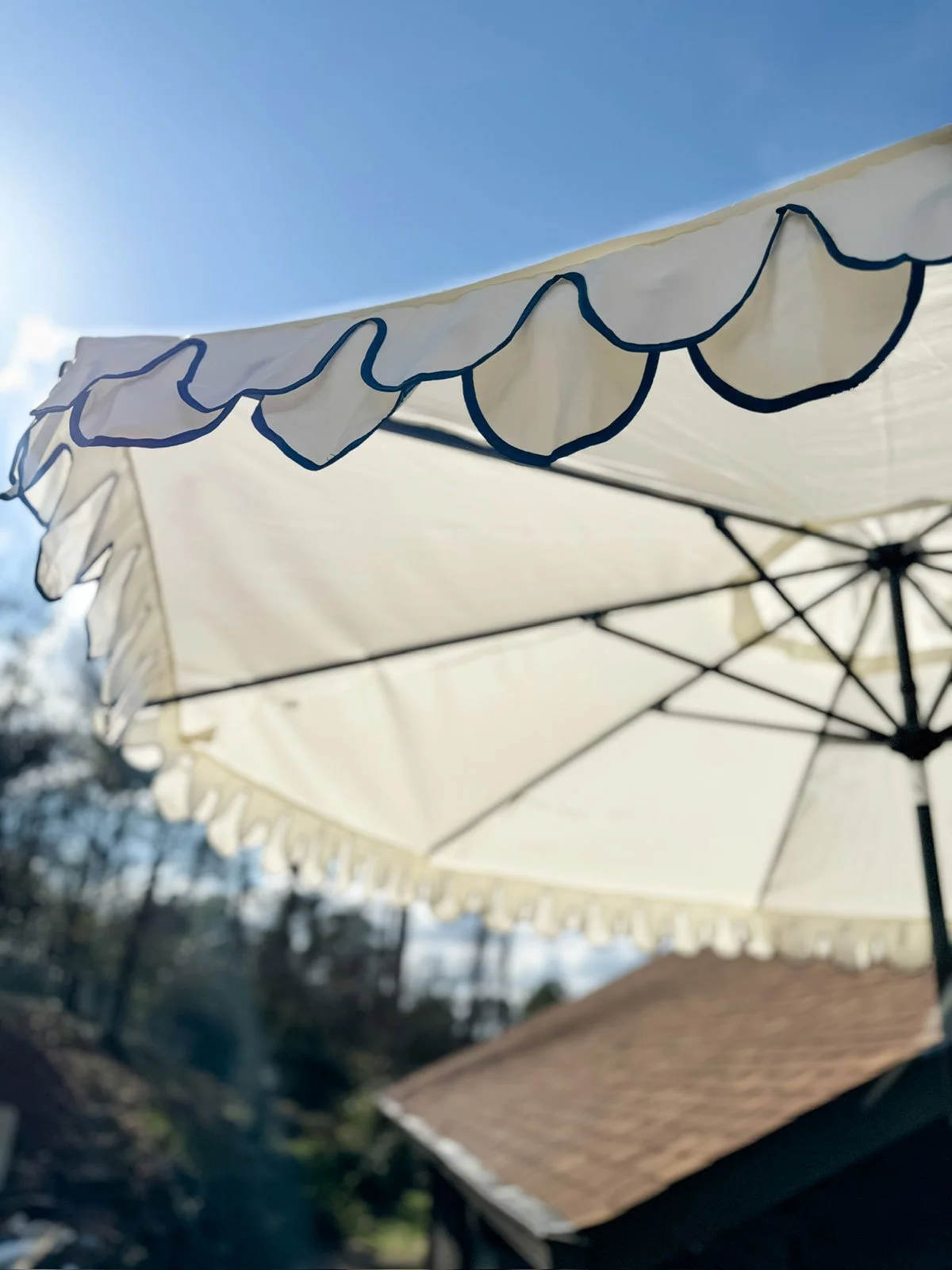 Umbrella.jpg