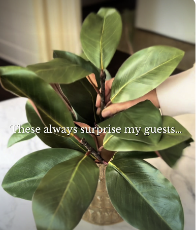 Screenshot 2026-01-08 at 11.51.00 AM.png