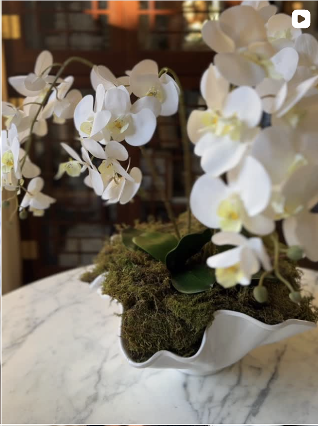 Screenshot 2026-02-08 at 8.38.01 AM.png