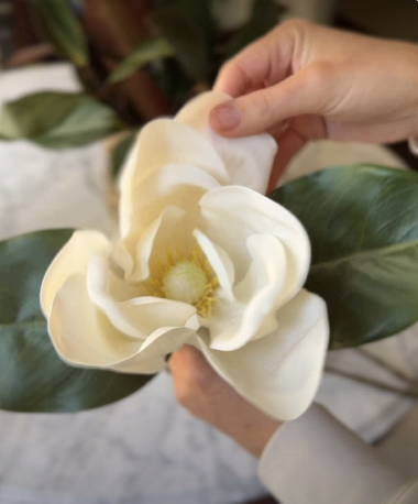 Screenshot 2026-01-07 at 11.34.37 AM.png