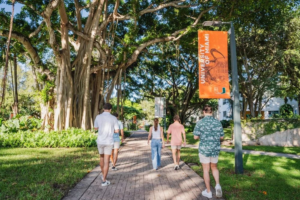 Students walking down a banyan-lined path on the University of Miami campus