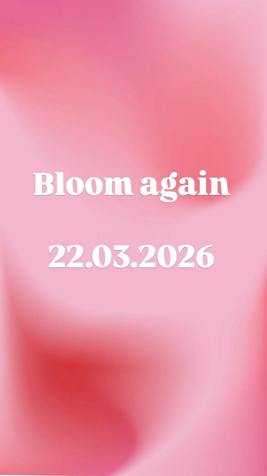 Bloom again