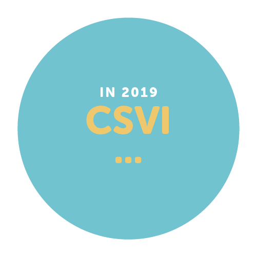 CSVI 2019 Year in Review-17.png