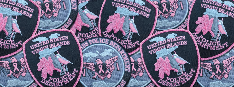 CSVI X VIPD Badges.png