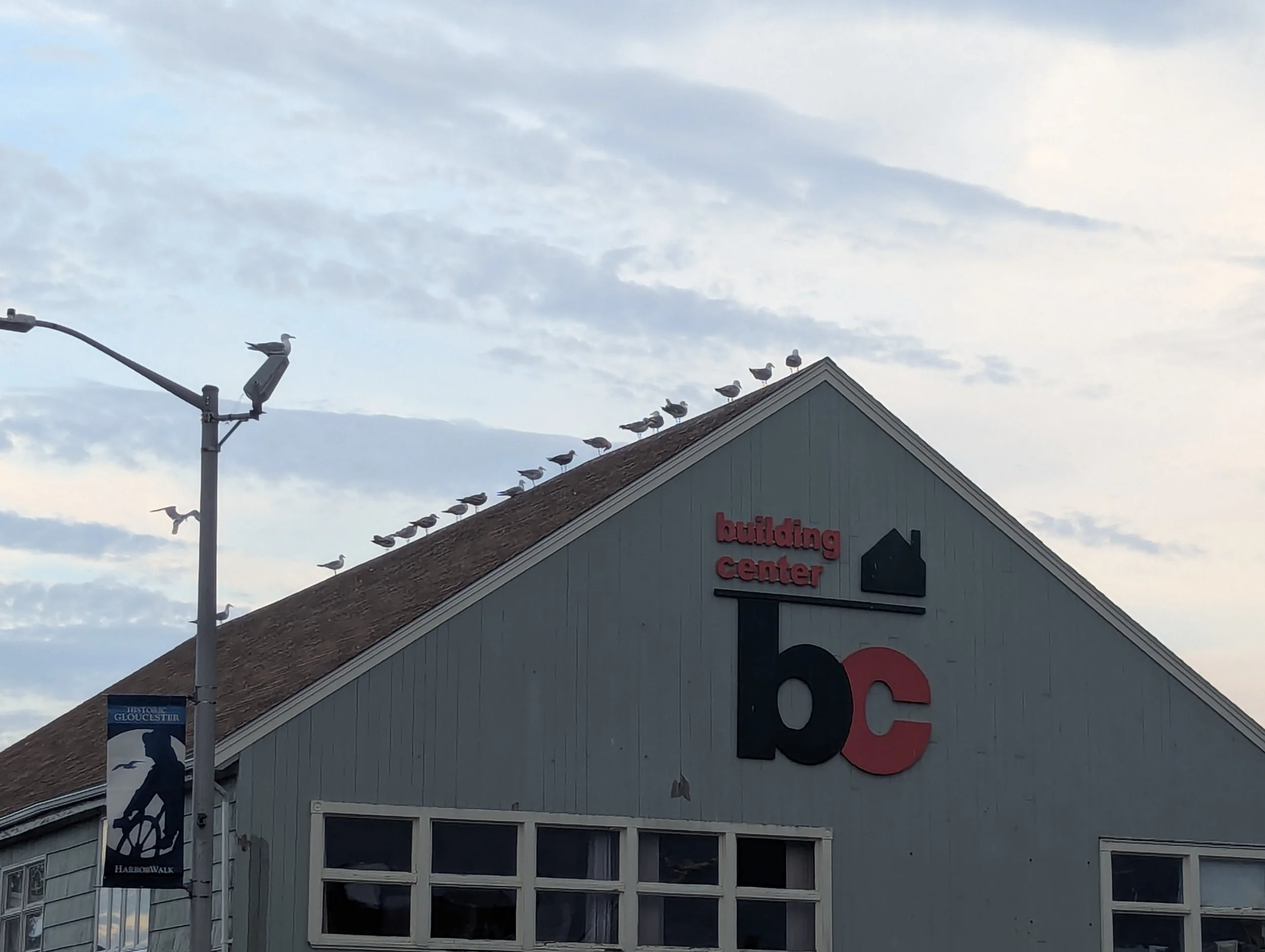 July 1 4perch.jpg