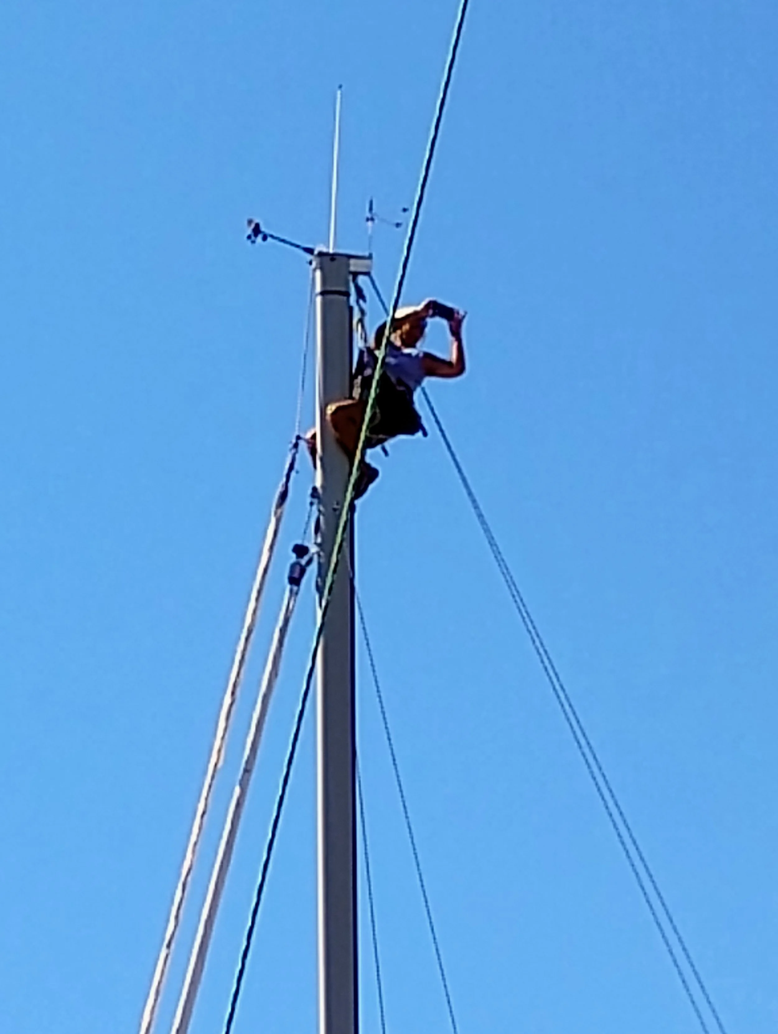 Sept 7 2mast8.jpg