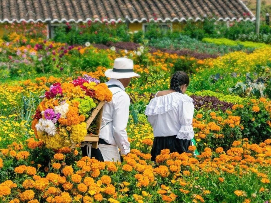 finca-silletera-flores-santa-elena.jpg