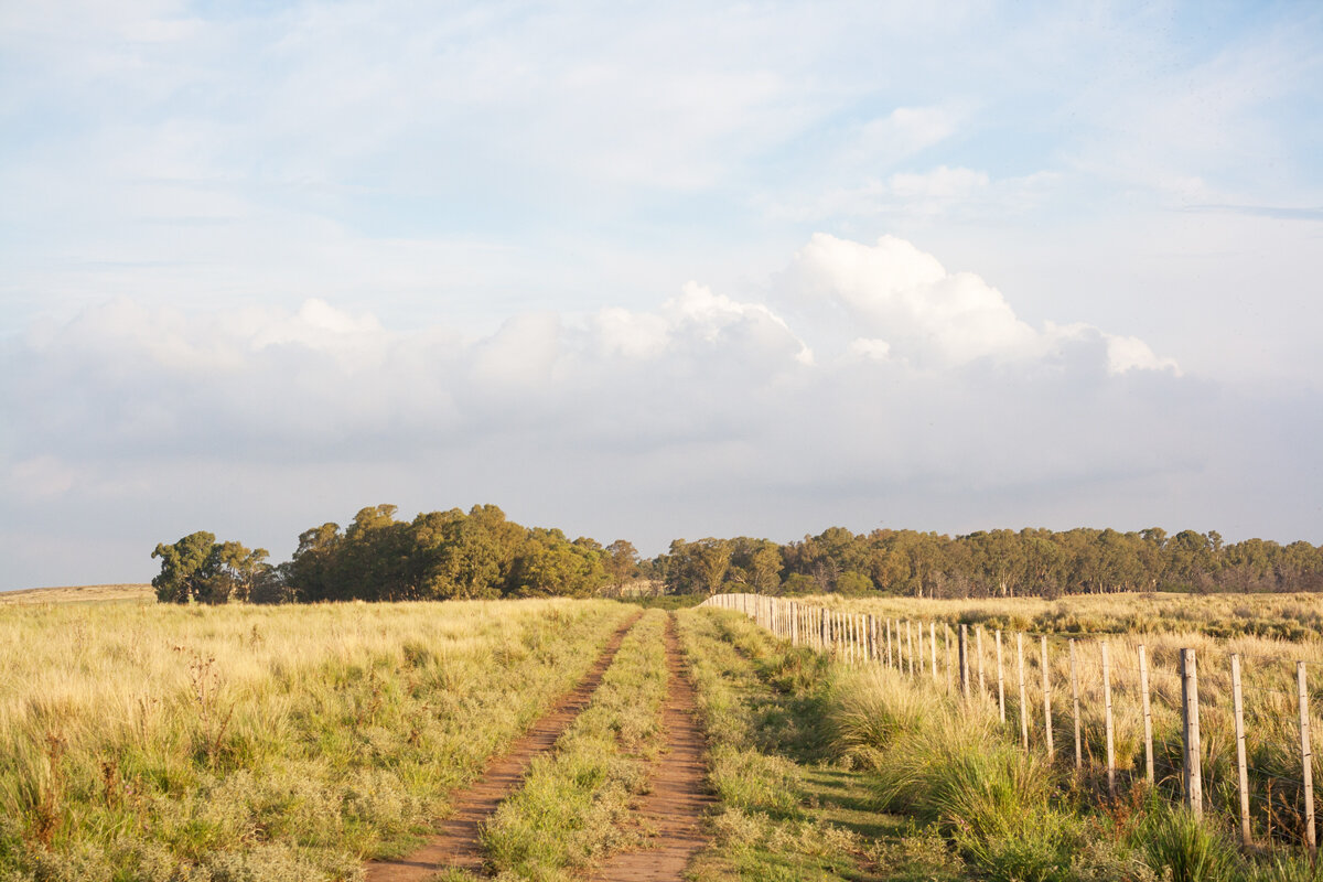 Naya Journal: Exploring Argentina's Country Life — Naya Traveler ...