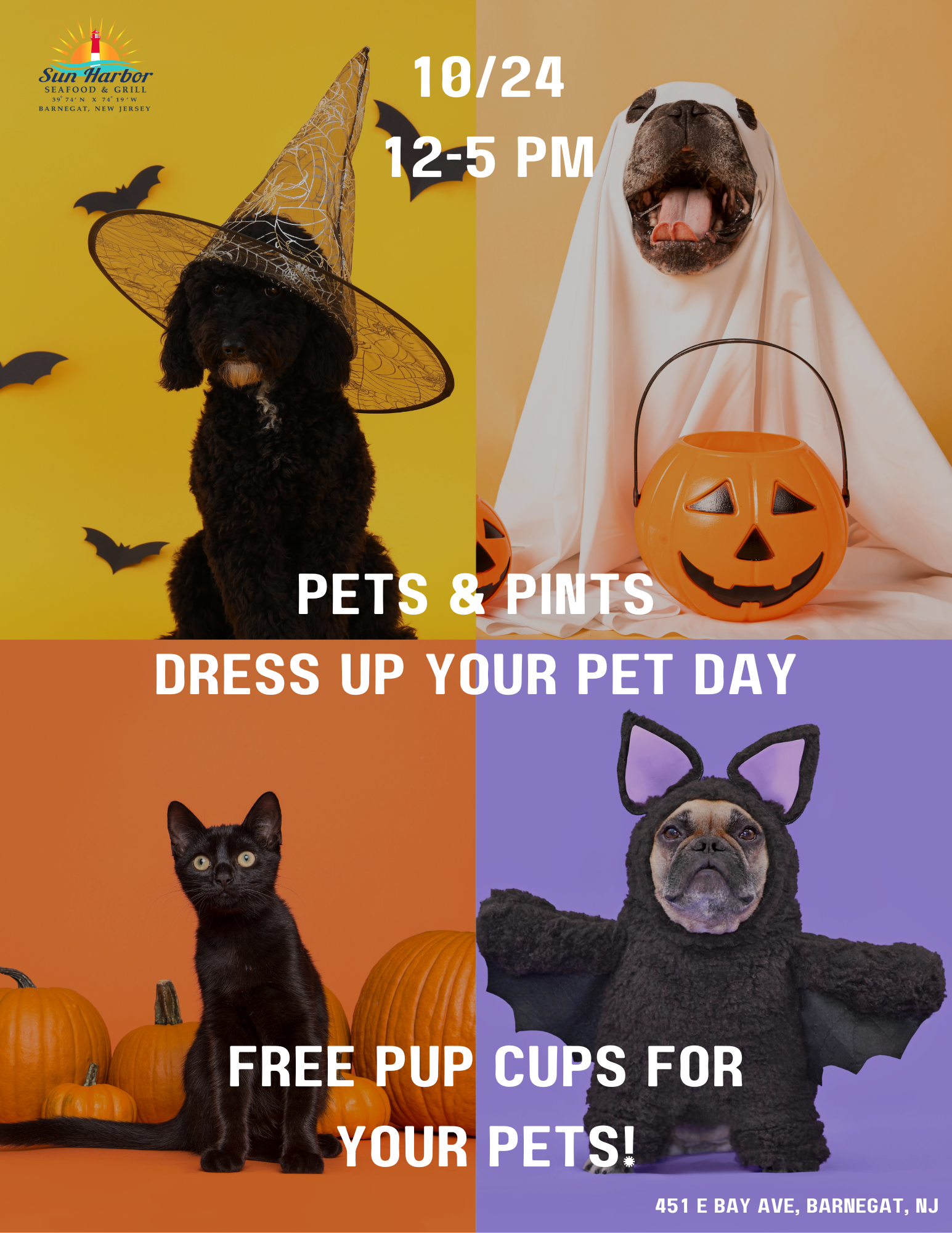 *Dress Up Your Pet Day*