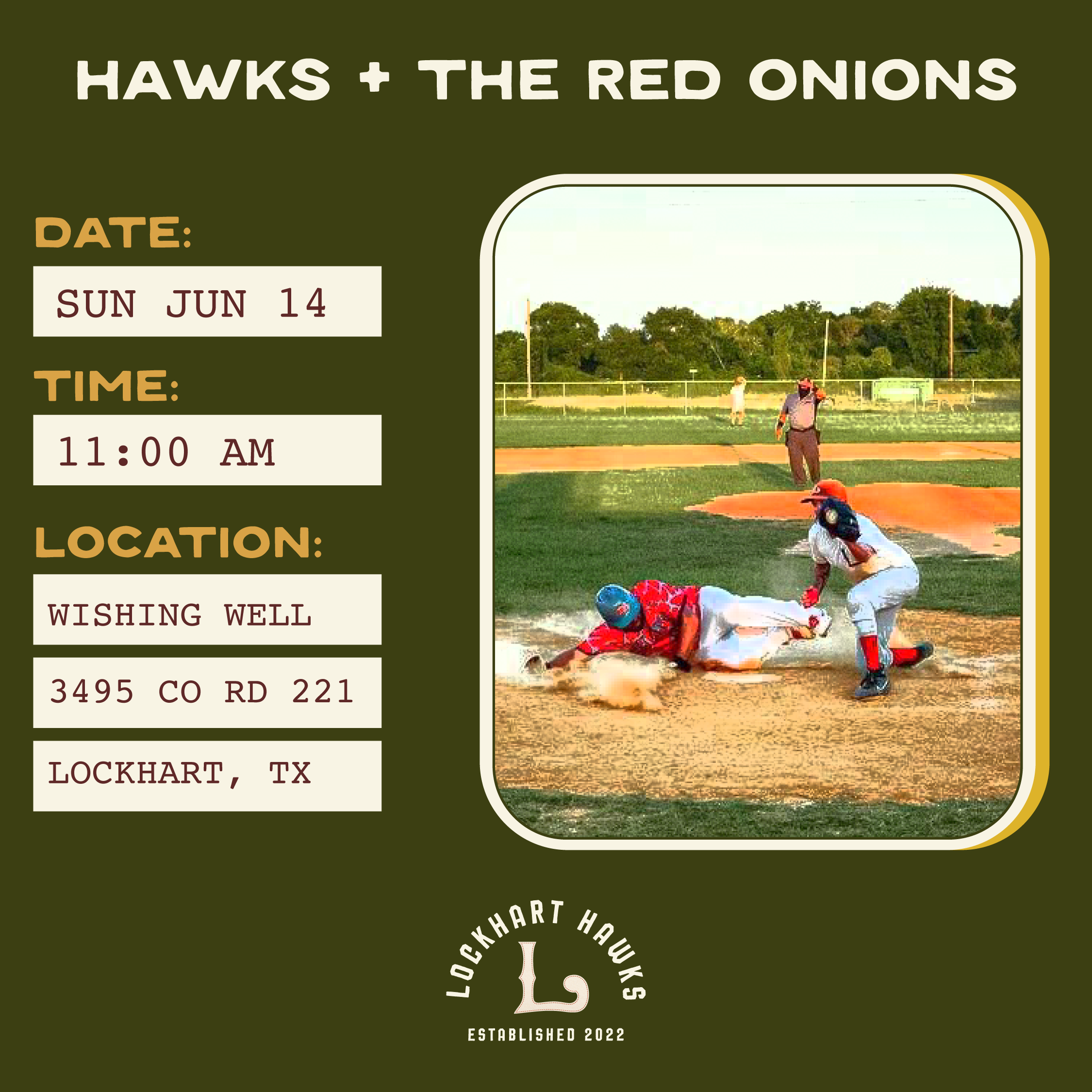 Hawks + Red Onions