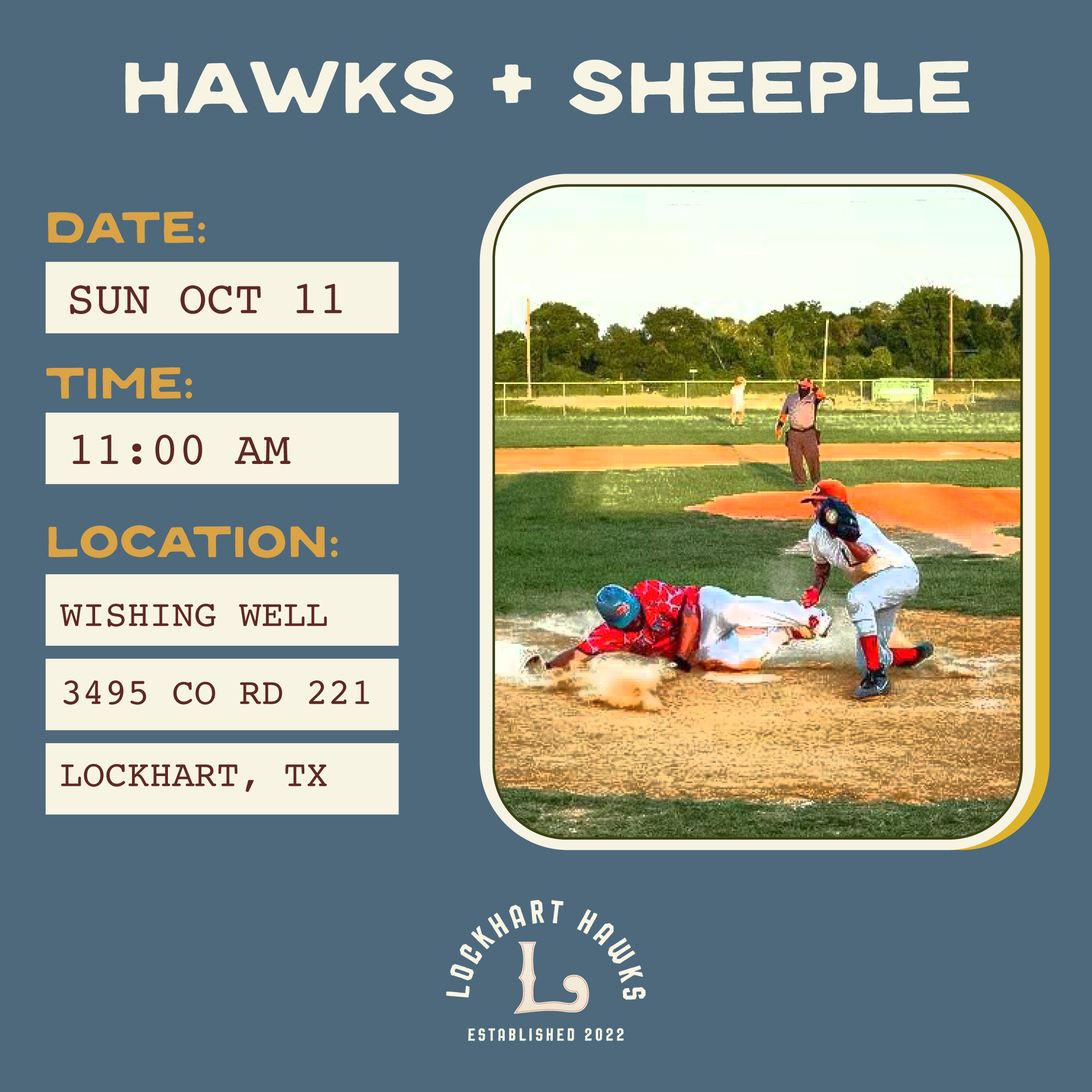 Hawks + Dallas Sheeple