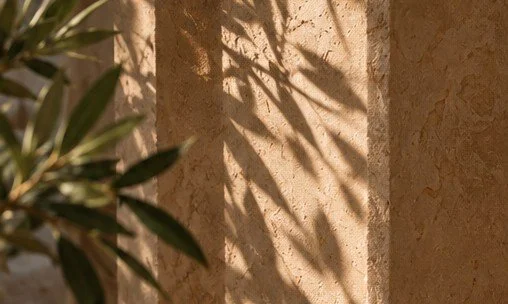 Texture de pierre minérale et ombre d’olivier