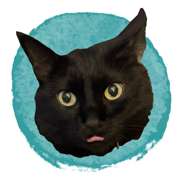 Close-up of a black cat's face with yellow eyes and pink tongue sticking out, framed by a circular blue background.