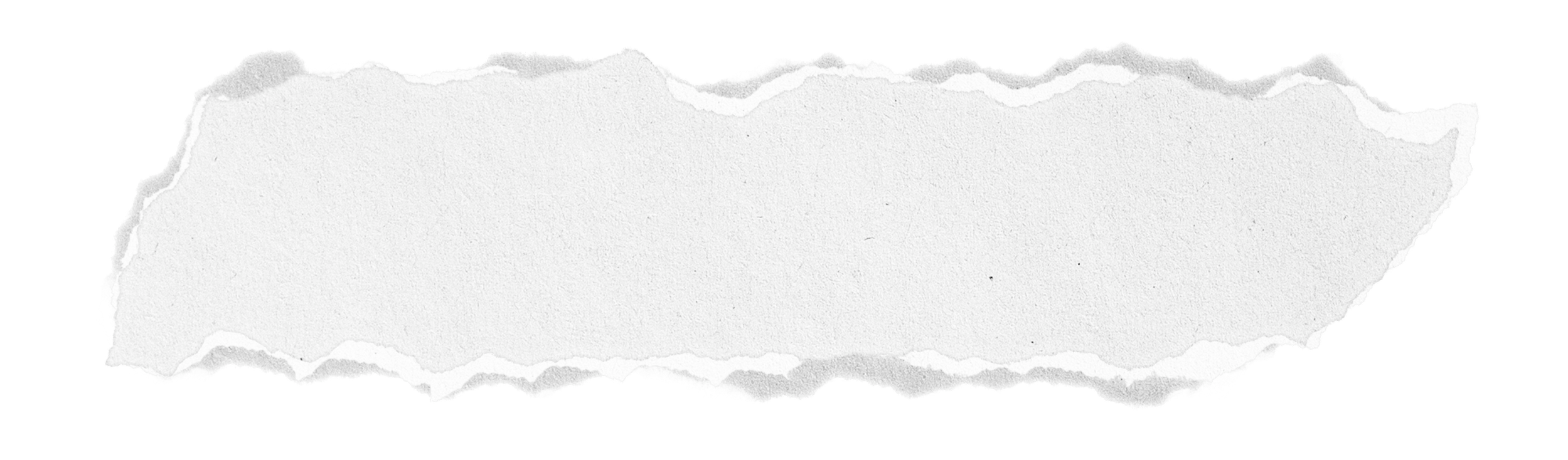 A torn piece of white paper with rough edges.