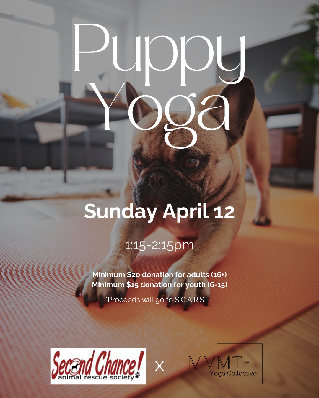 Puppy Yoga