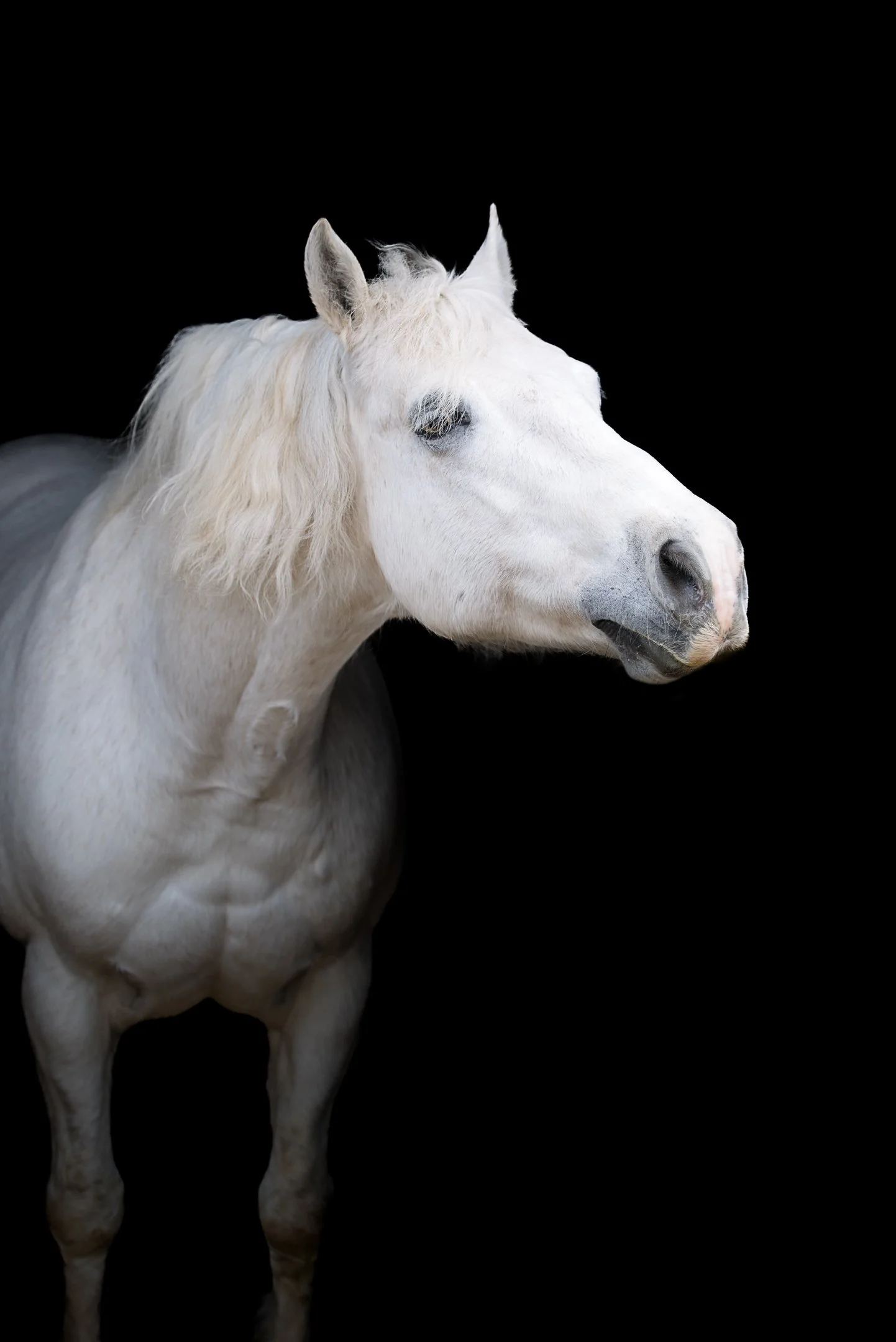 BHC_3645-Edit.jpg