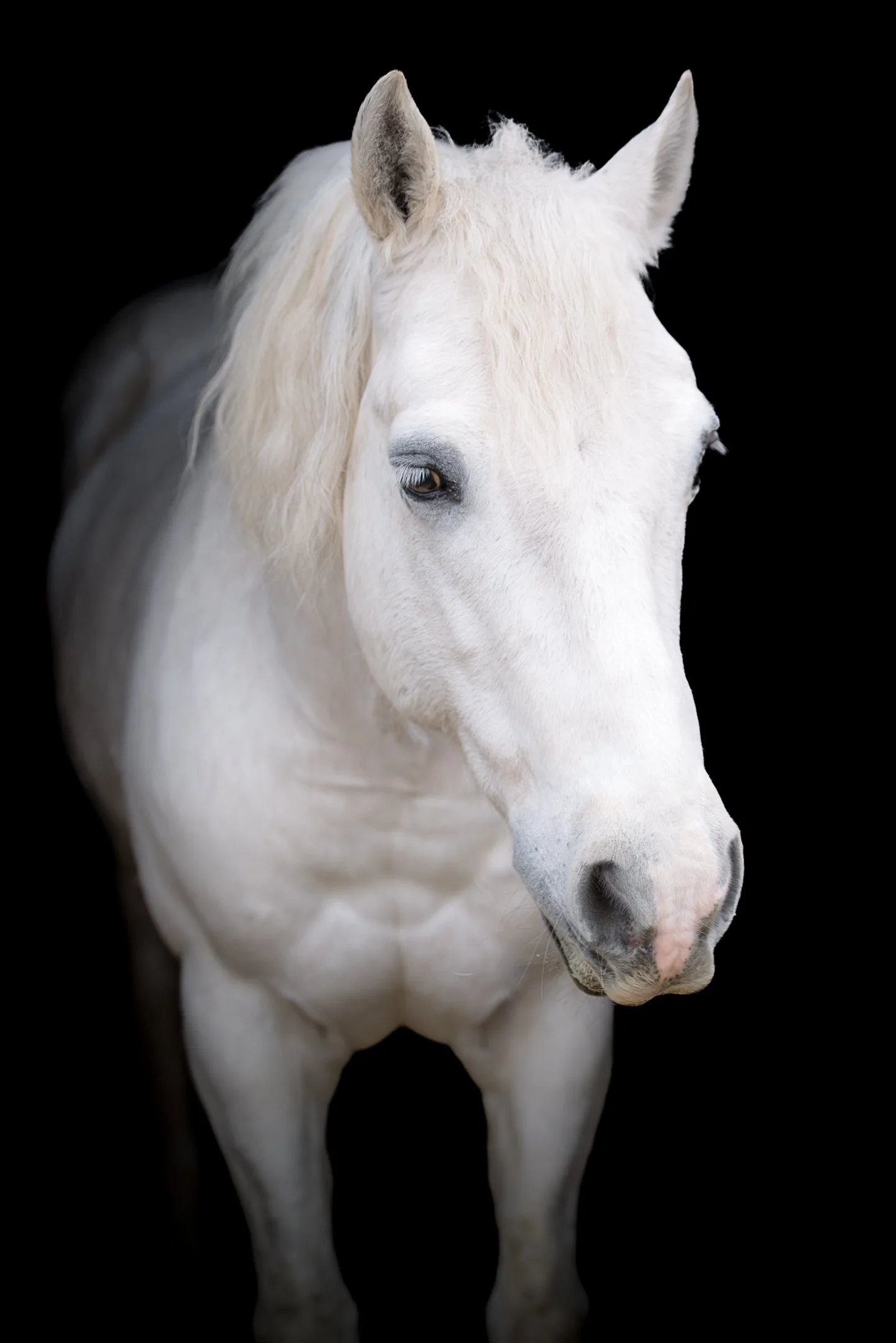 BHC_3640-Edit.jpg