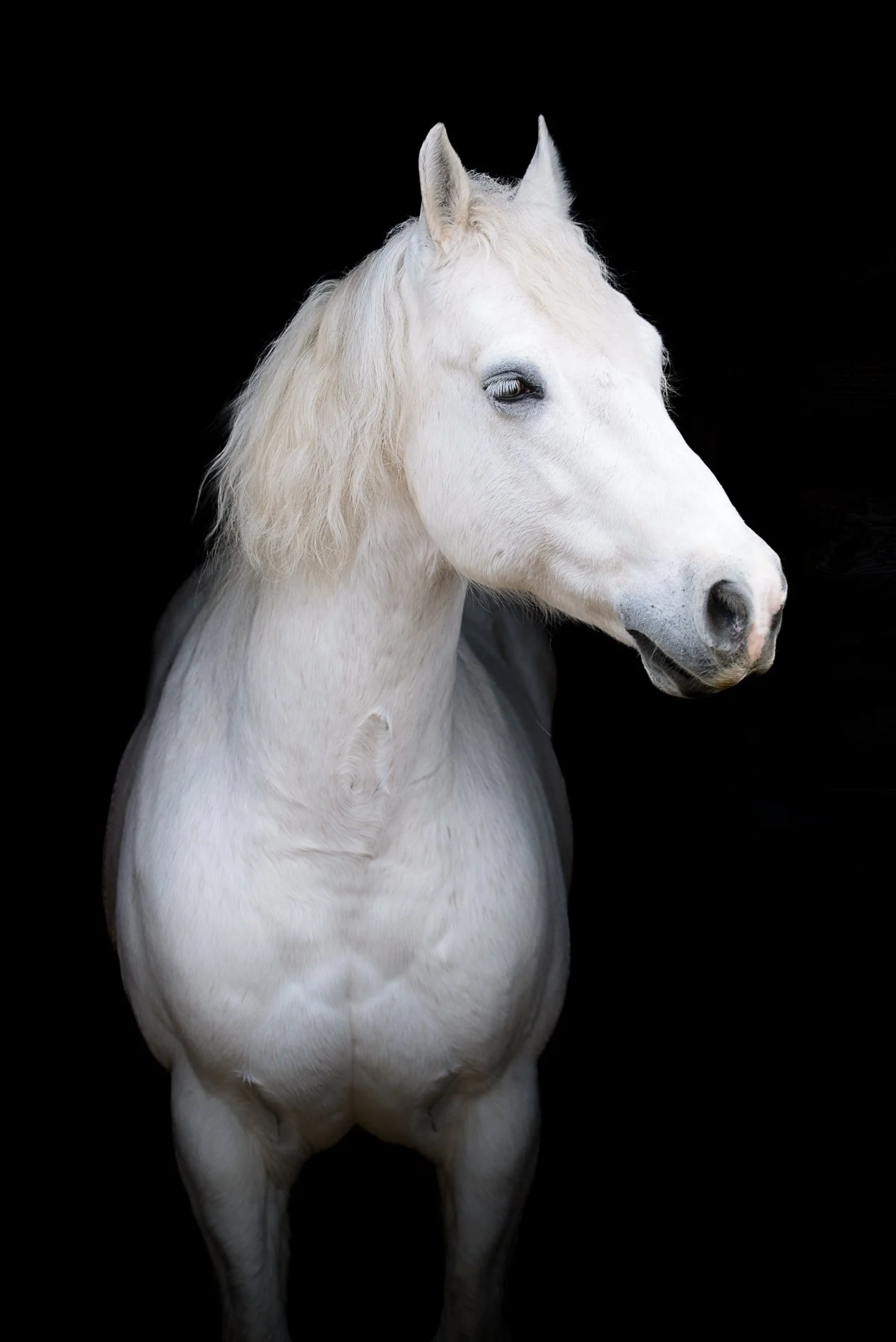 BHC_3657-Edit.jpg