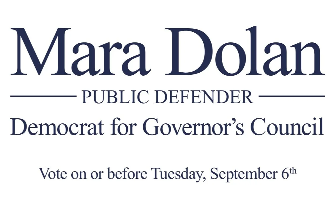 Why You Should Vote Mara Dolan for Councillor
