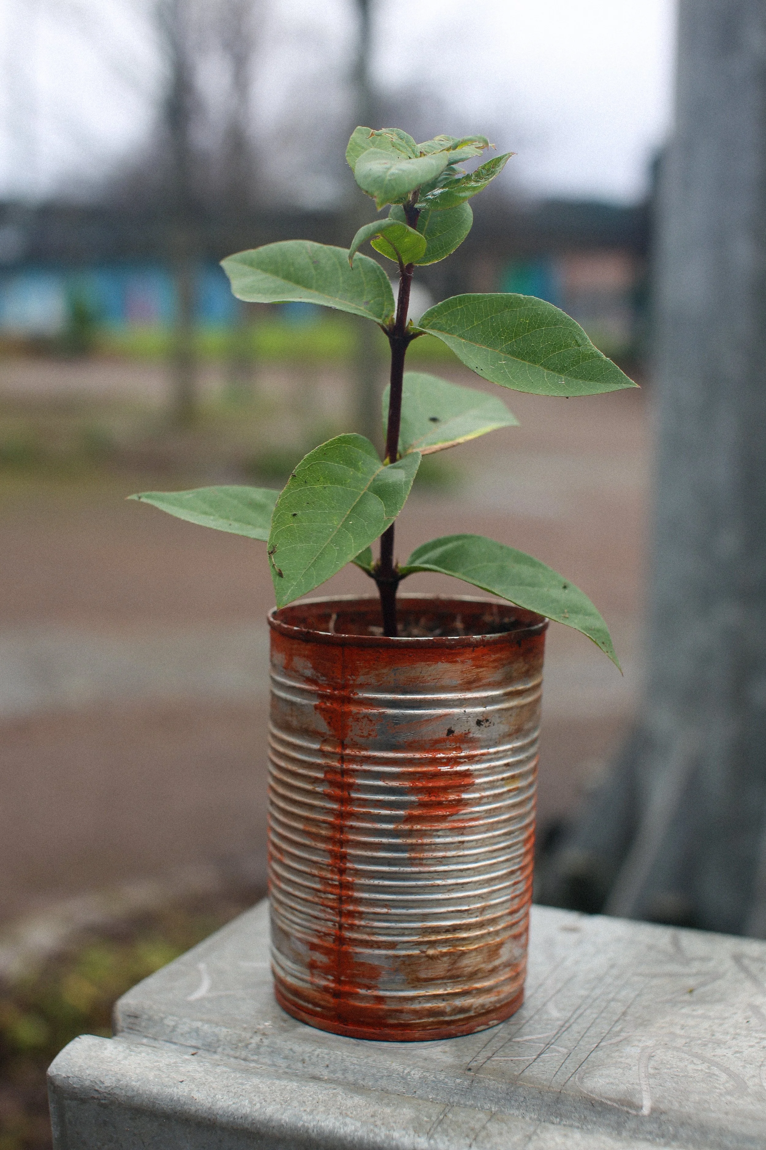 Soil Association | Promo Ad 