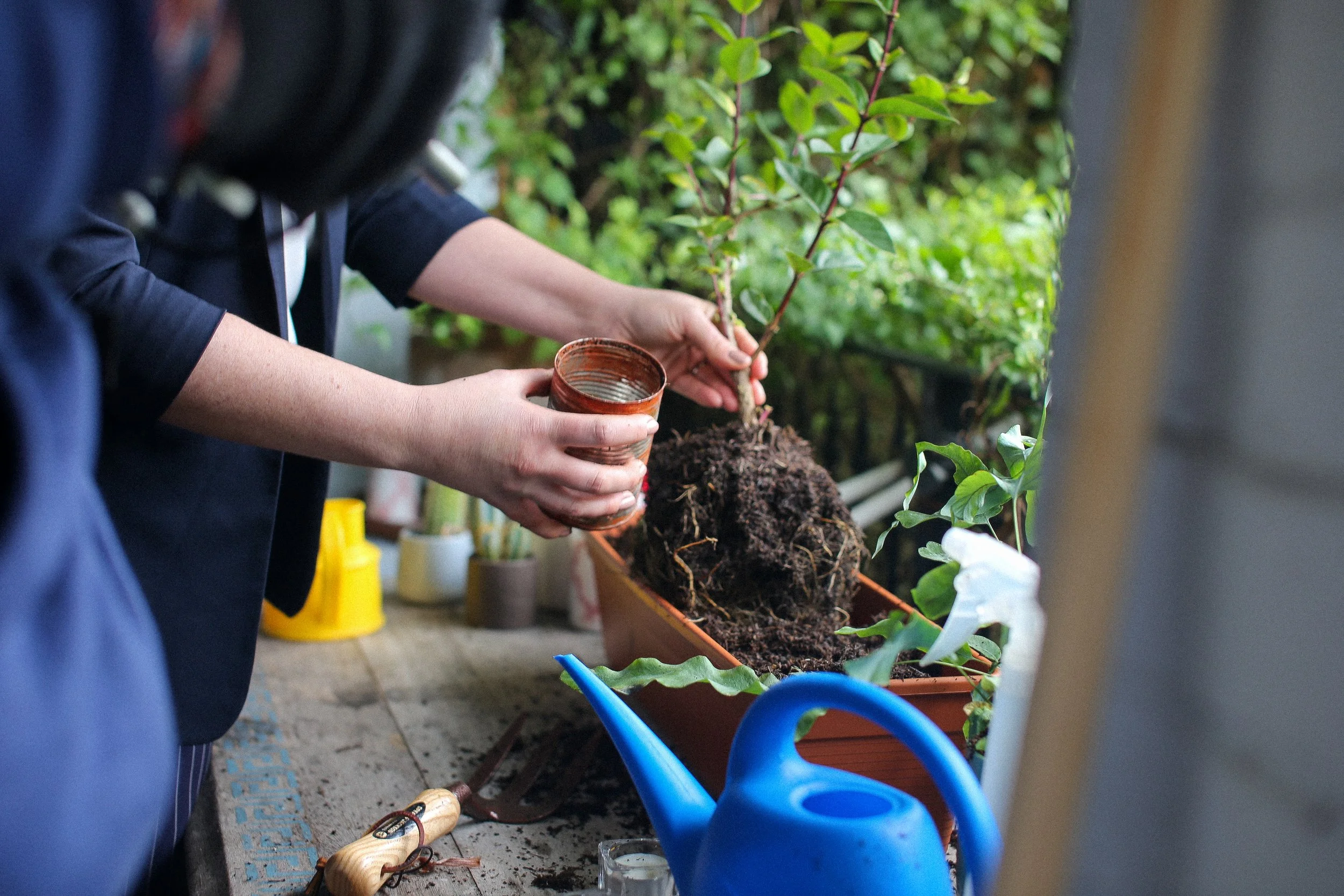 Soil Association | Promo Ad 