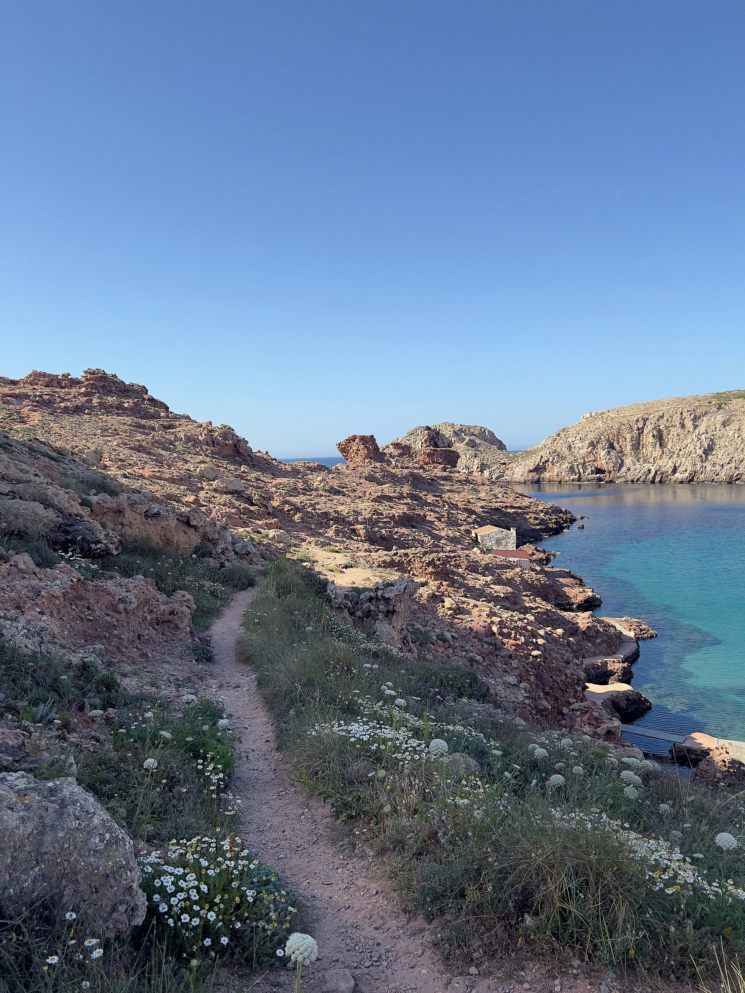 La importancia del camino 🛤